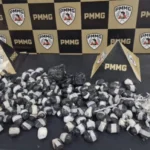 Polícia apreende mais...