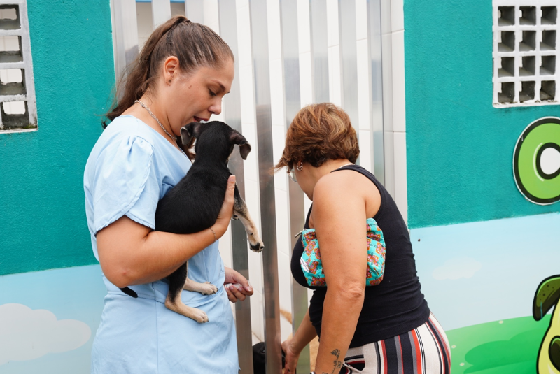 Três filhotes — dois gatos e um cachorro — ganharam novos lares no último sábado (7), durante a edição mensal da Feira de Adoção...
