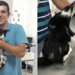 Morador de Guarujá...