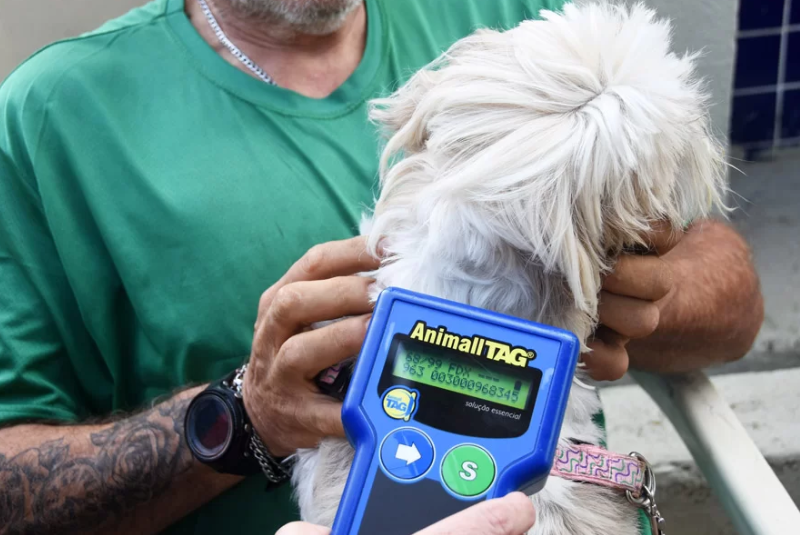 A Prefeitura de Praia Grande retoma nesta quinta-feira (12) o projeto Pet PG Chip, que promove a microchipagem gratuita de cães...