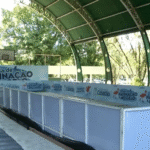 Pista de patinação...