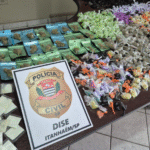 Polícia Civil apreende...