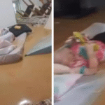 Tragédia em Ubá:...