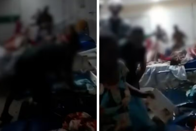 Rato aparece em sala do HUT e vídeo gera repercussão em Teresina