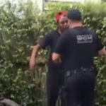 Vídeo mostra GCM...