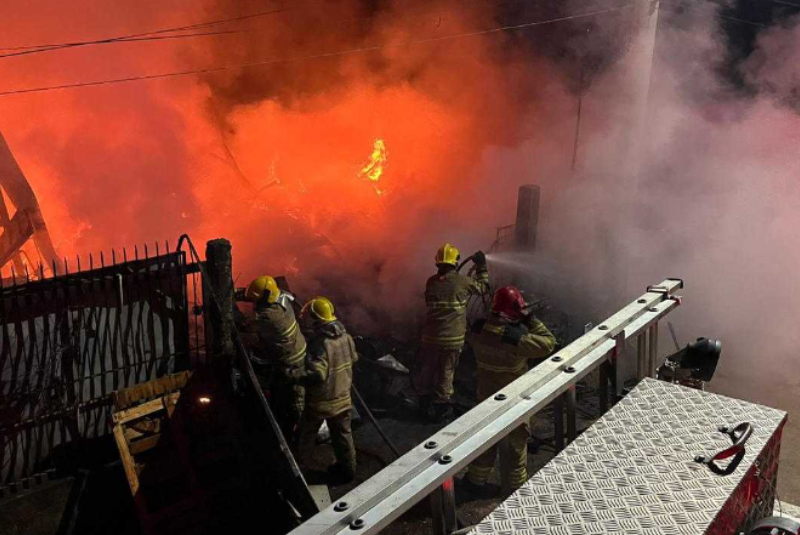 Cadela é encontrada em banheiro e salva de incêndio em Pouso Alegre