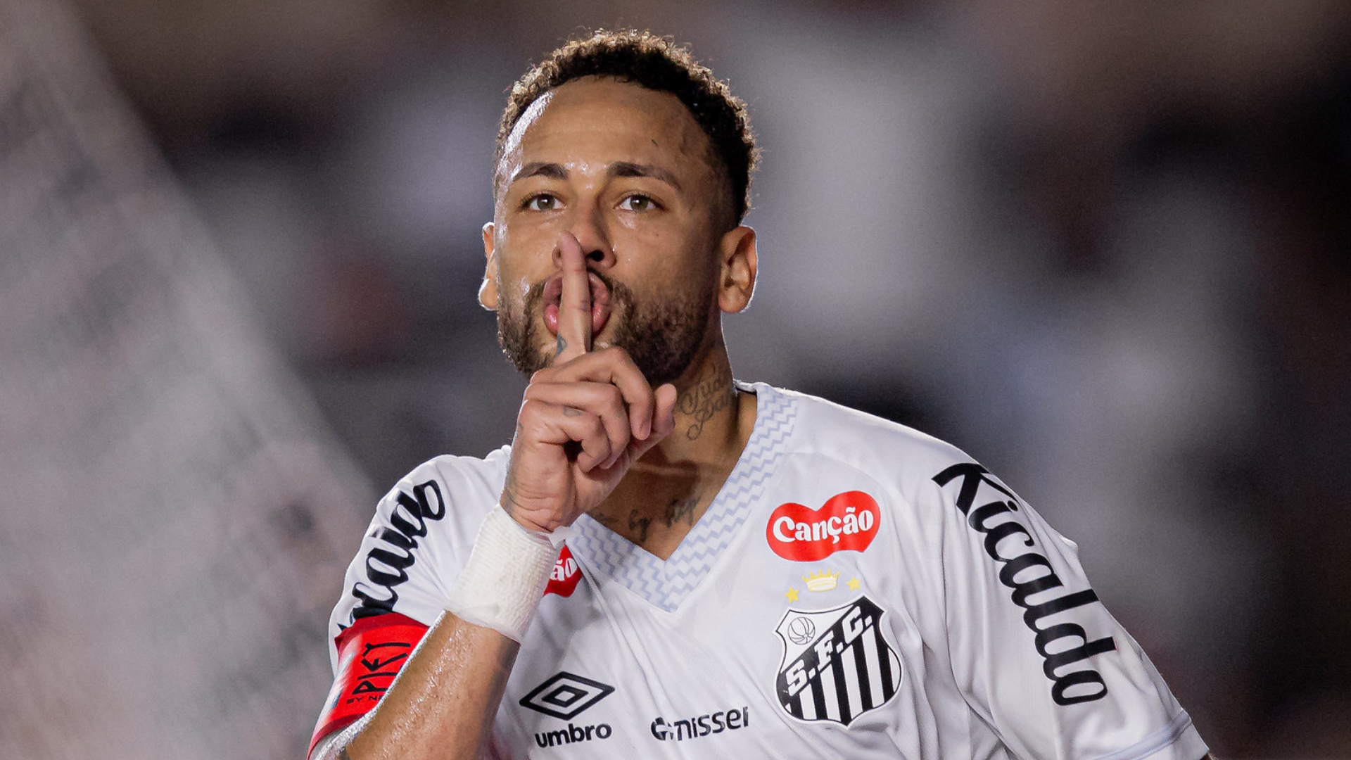 Foto: Raul Baretta / Santos FC