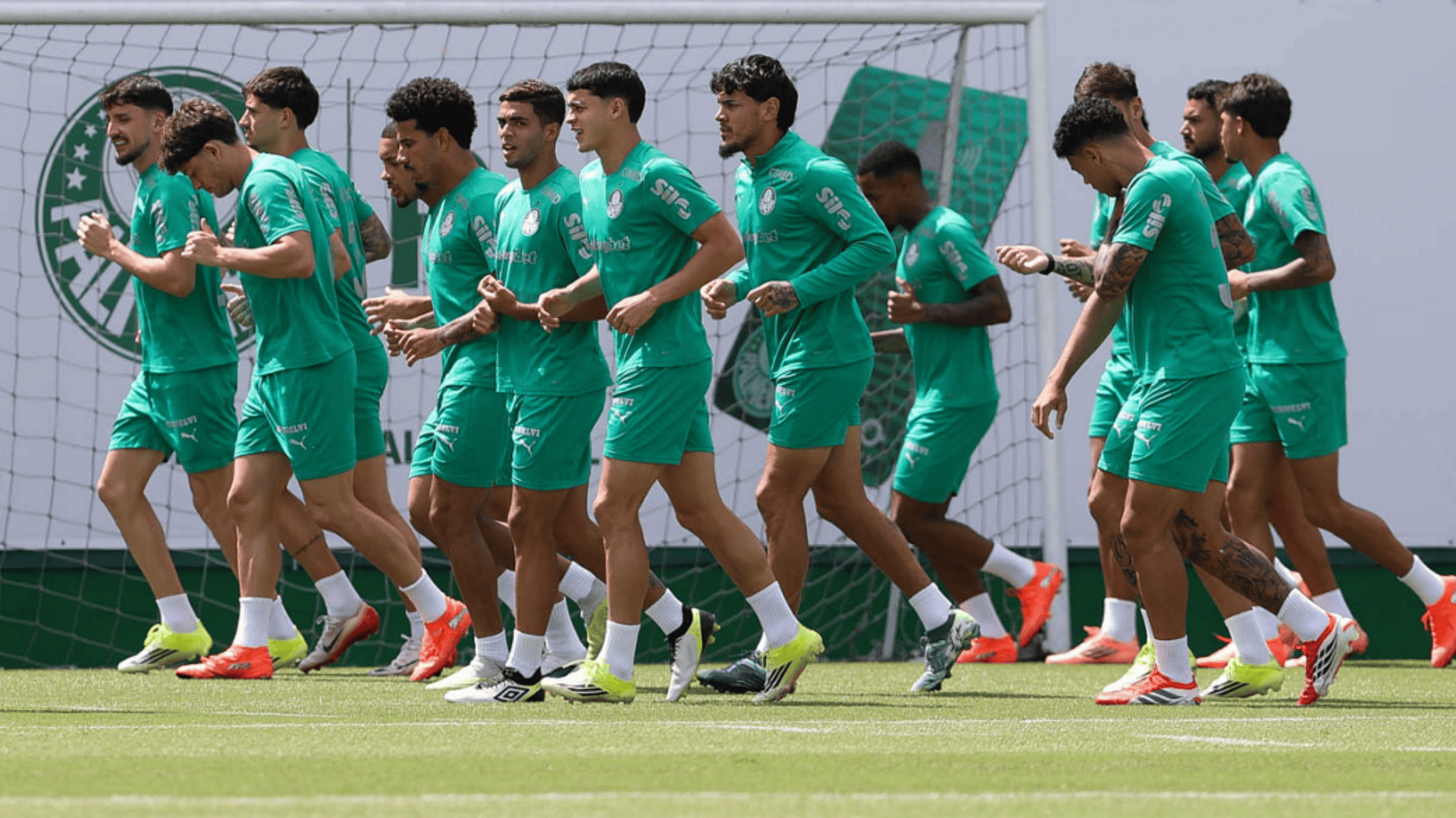 Foto: Cesar Greco / Palmeiras / by Canon