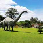 Uberaba celebra 206...