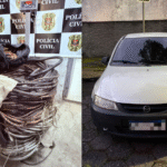 Polícia Civil prende...