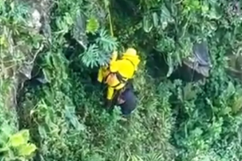 Um homem de 55 anos se jogou de um precipício de aproximadamente 88 metros ao tentar fugir de um enxame de abelhas, na manhã de sábado...