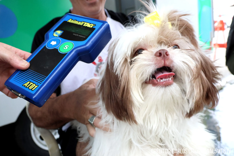 O Bairro Antártica, em Praia Grande (SP), recebe nesta terça-feira (31) mais uma edição do projeto “Pet PG Chip”, que oferece...