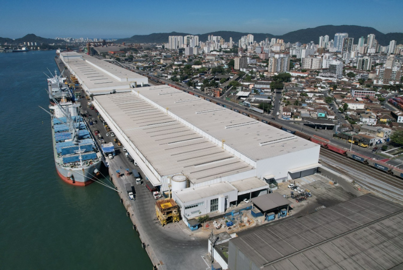 Suzano bate recorde histórico com 5,8 milhões de toneladas embarcadas em Santos