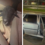 PRF encontra carro...