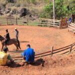 Faemg Senar oferece...