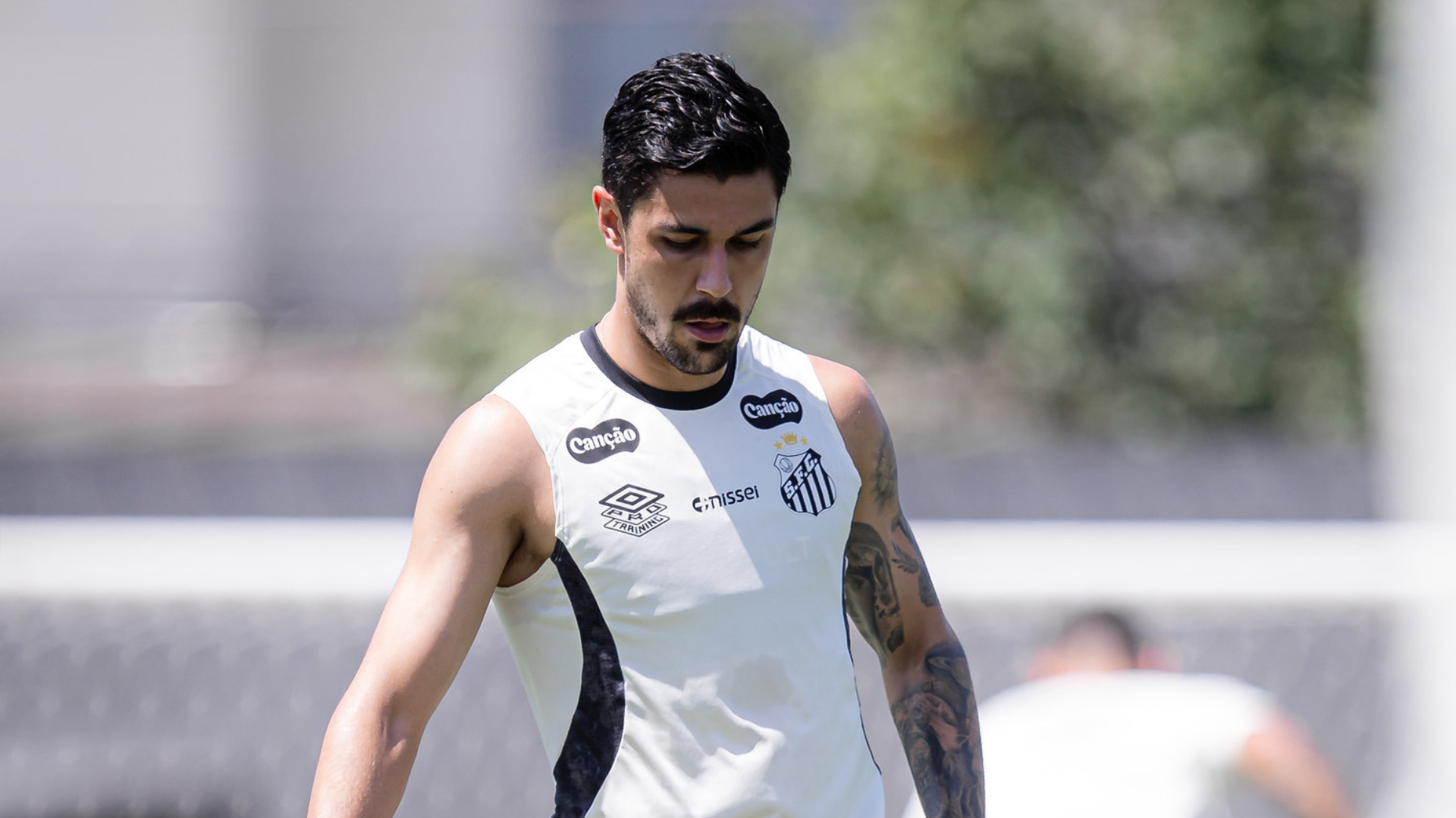 Foto: Raul Baretta / Santos FC