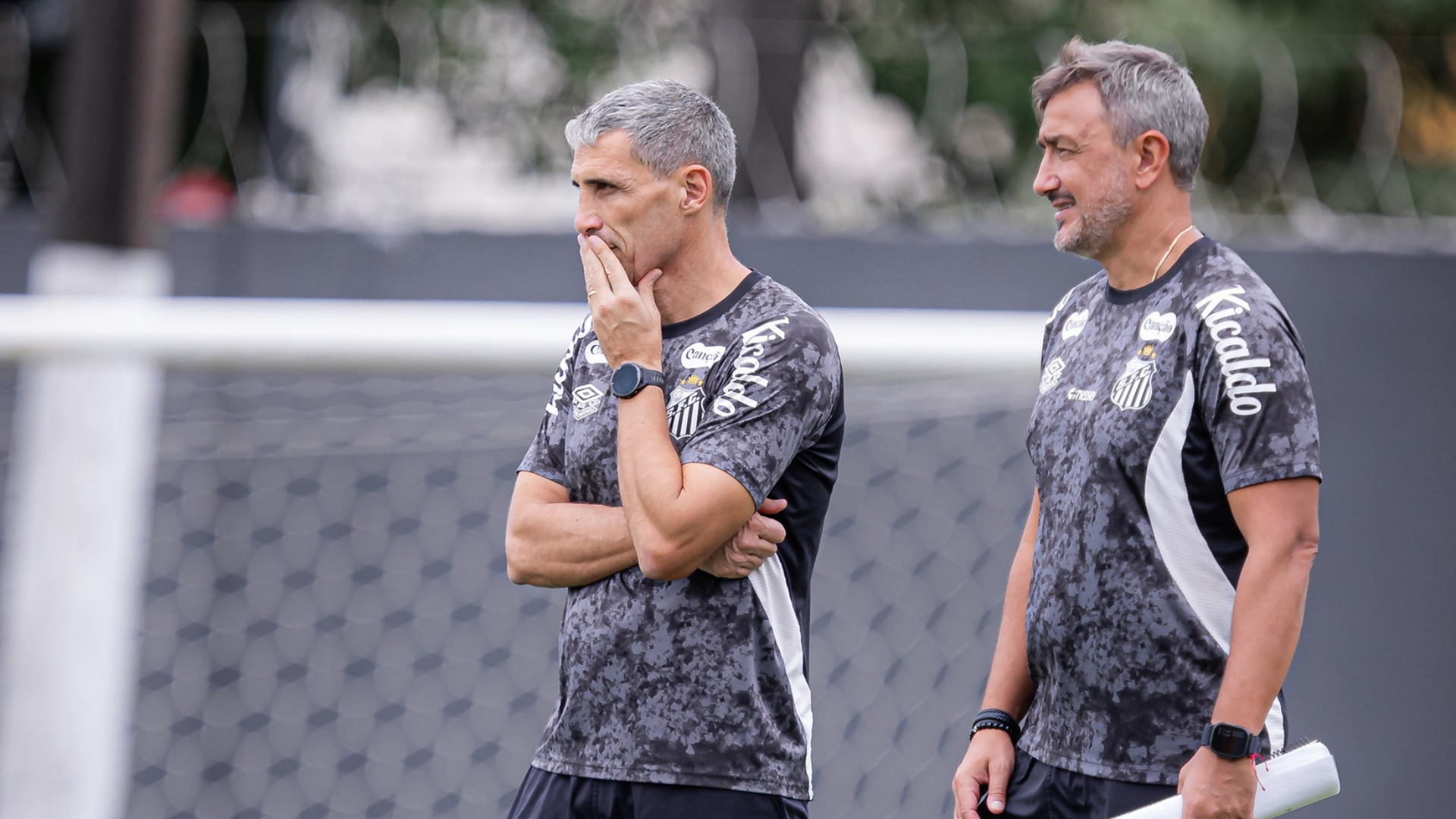 Foto: Raul Baretta / Santos FC