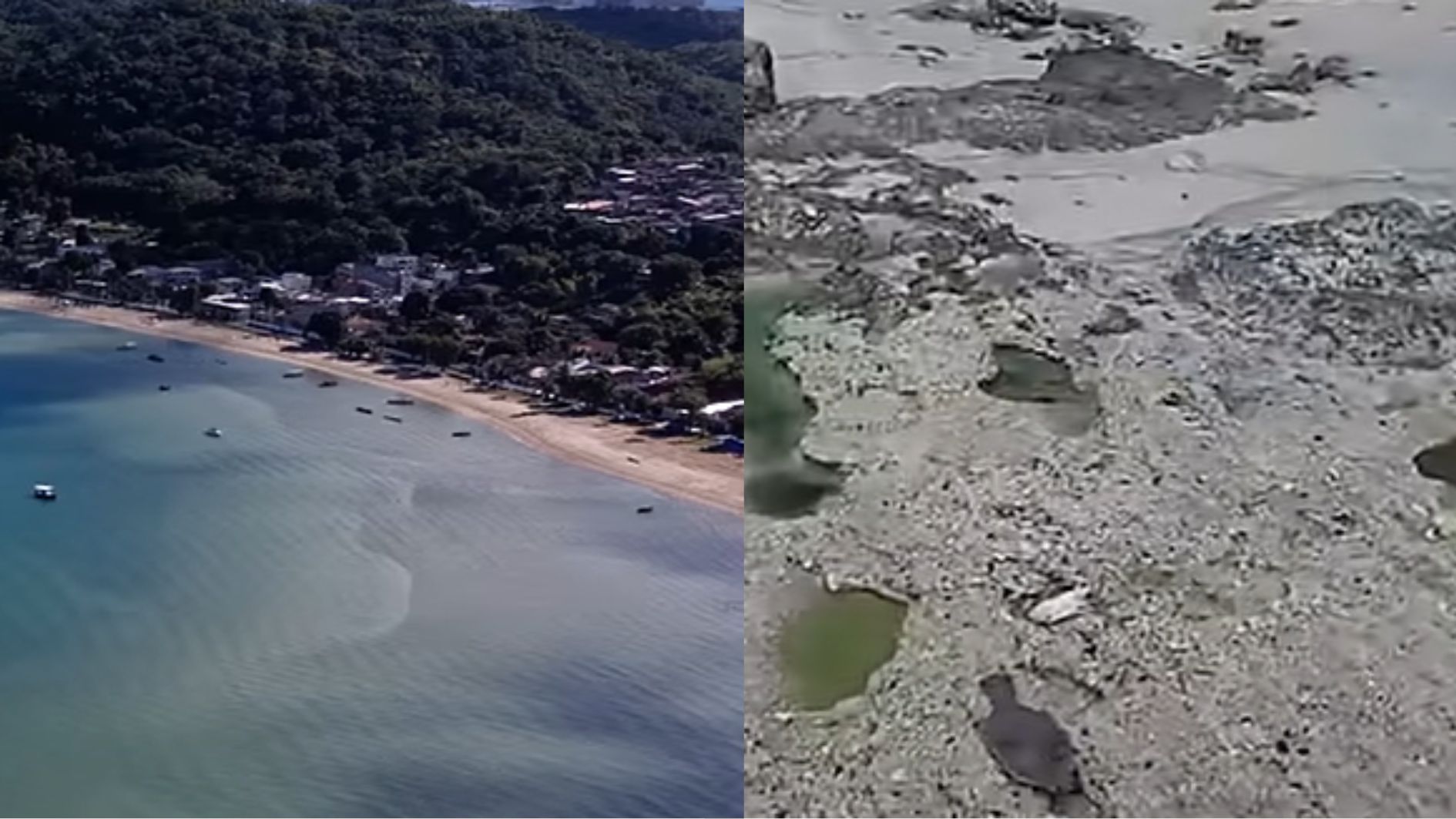 Contaminação química em praia da Bahia afeta pesca e saúde