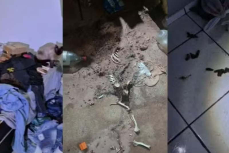 Criança abandonada com pulgas e lixo é resgatada em Assis; mãe é presa por maus-tratos