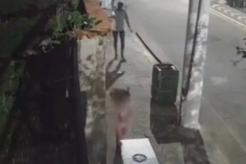Cena de violência: Mulher dá tapas e puxa cabelo de menina em Santos