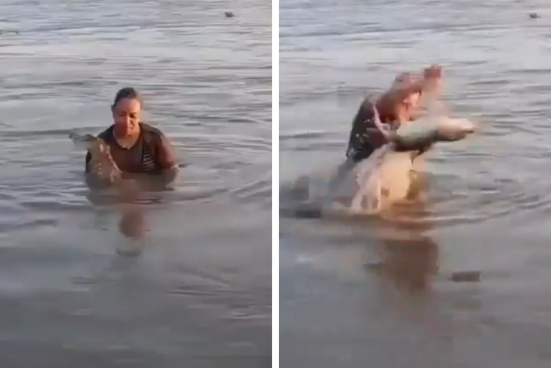 Vídeo: mulher confunde jacaré com tronco e vive momento de pânico no México