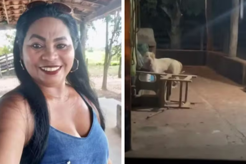 Ataque fatal: mulher é morta por pit-bull da família em Bacabal