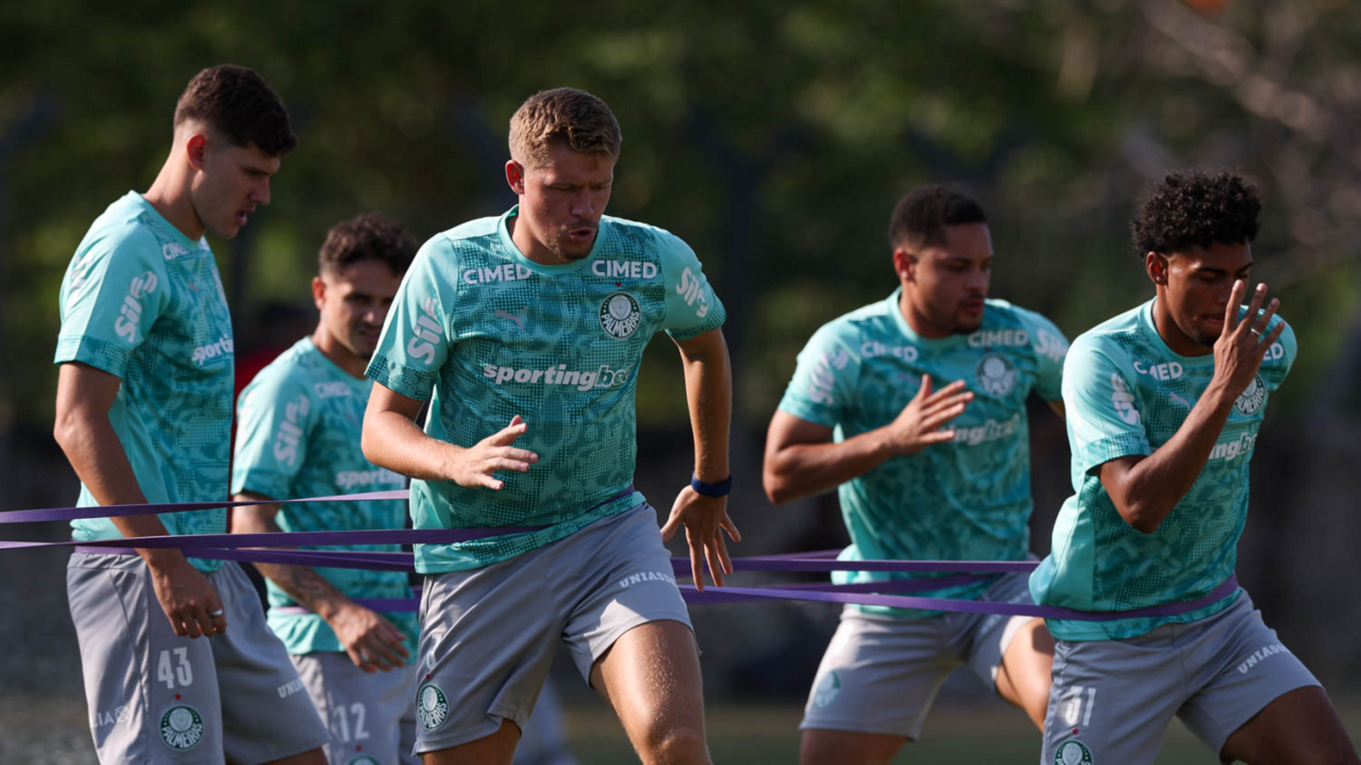 Foto: Cesar Greco / Palmeiras / by Canon