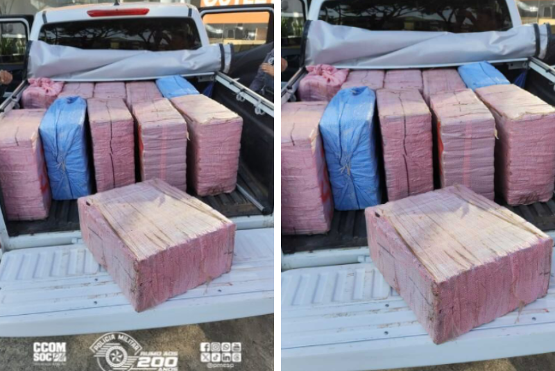 Polícia apreende quase 500 Kg de cocaína que seguia para o Porto de Santos
