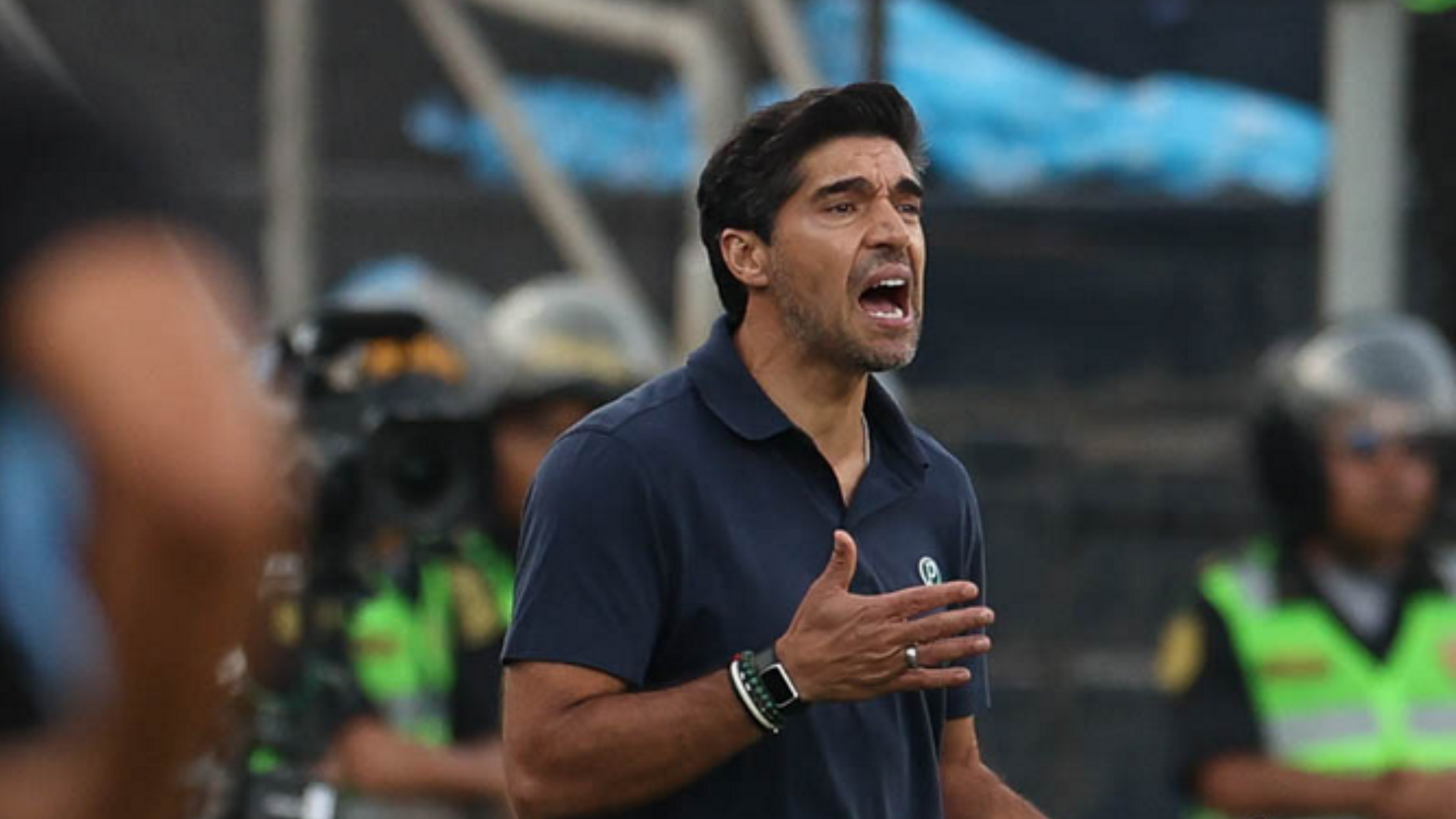 Foto: Cesar Greco / Palmeiras / by Canon