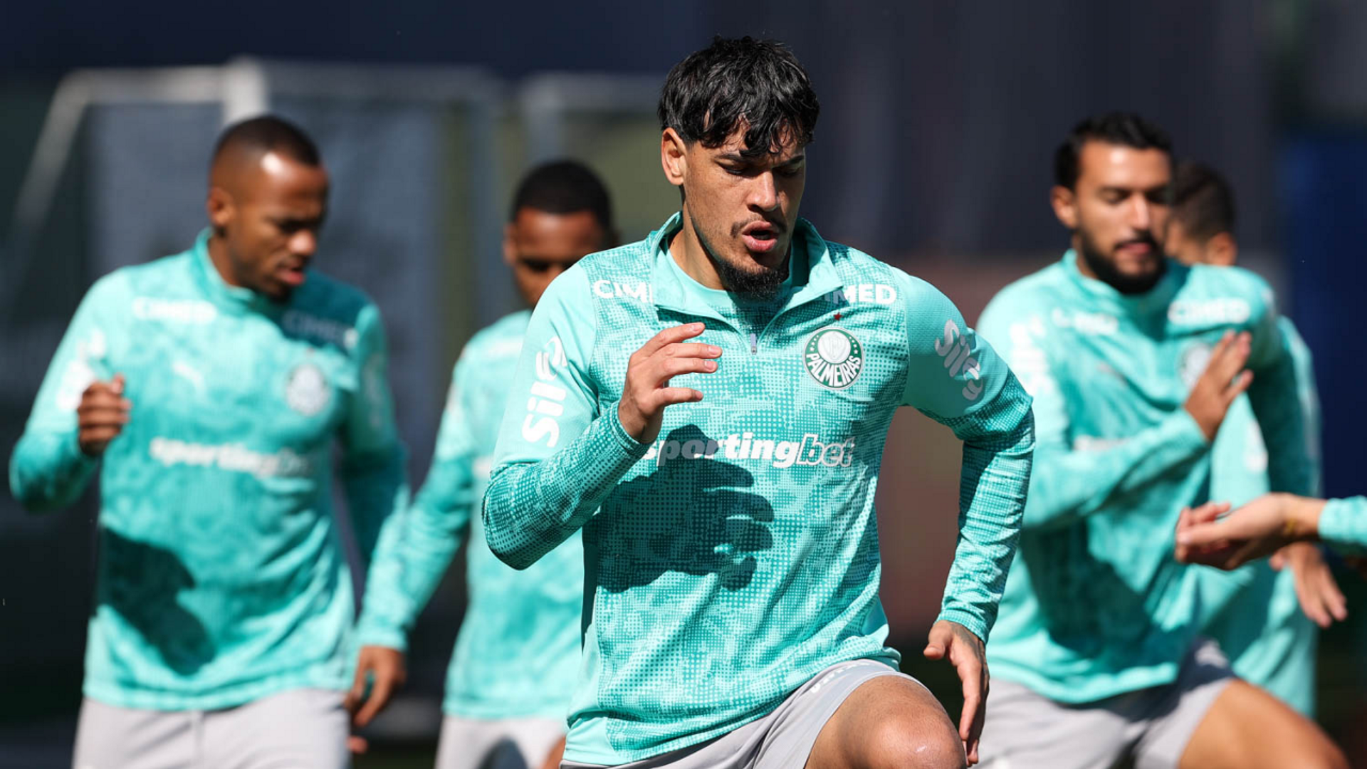 Foto: Cesar Greco / Palmeiras / by Canon