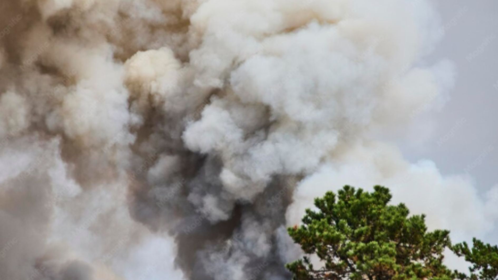 incêndio florestal na Flórida