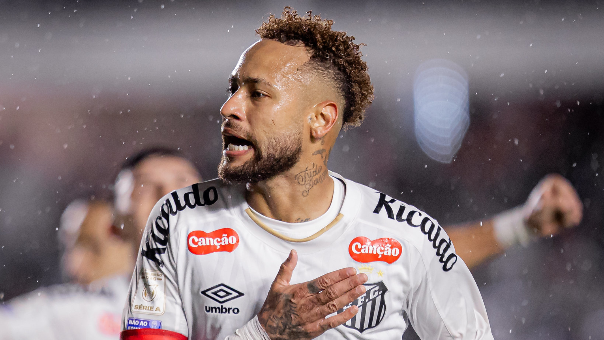 Foto: Raul Baretta / Santos FC