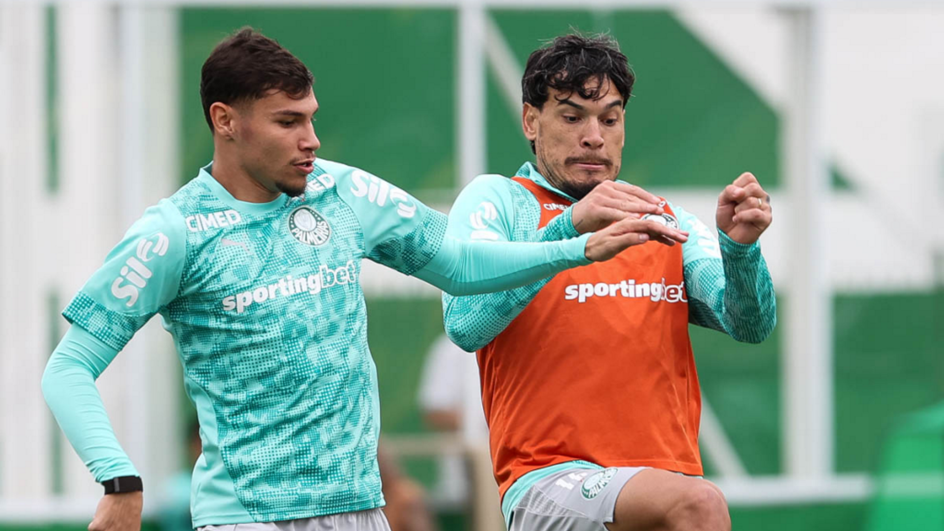 Foto: Cesar Greco / Palmeiras / by Canon