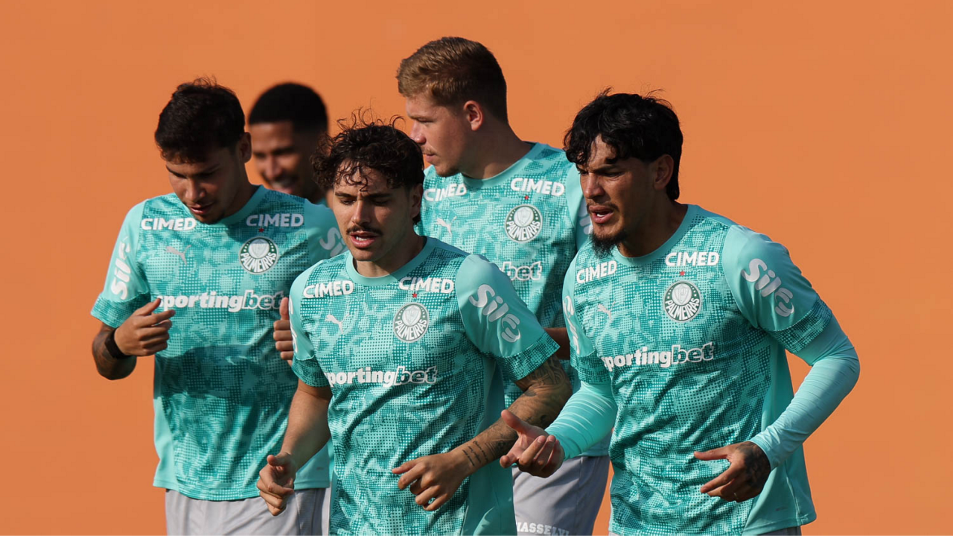 Foto: Cesar Greco / Palmeiras / by Canon