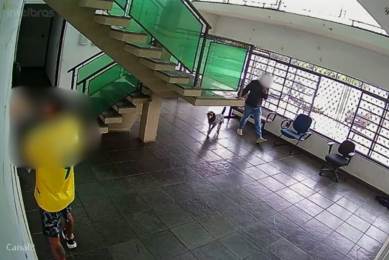 Tutor leva cão morto ao Samu e protesta após atropelamento em Itapecerica da Serra
