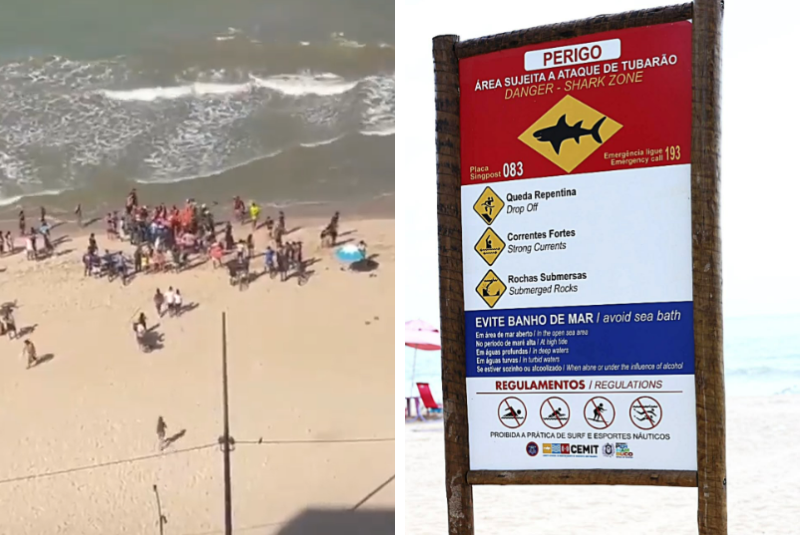 Menino de 11 anos é mordido por tubarão na Praia de Piedade