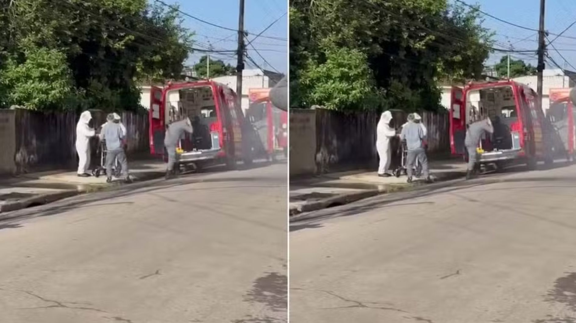 homem morre após ataque de enxame de abelhas