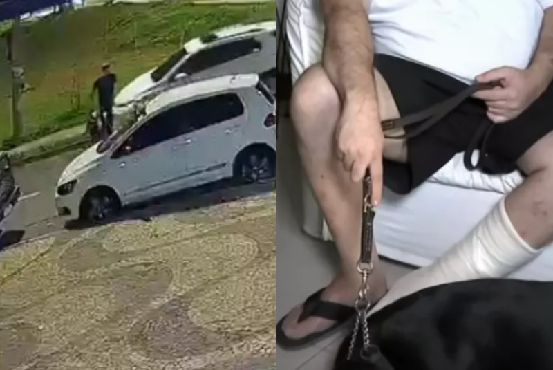 Motorista atropela homem cego e cão-guia na calçada e foge no DF