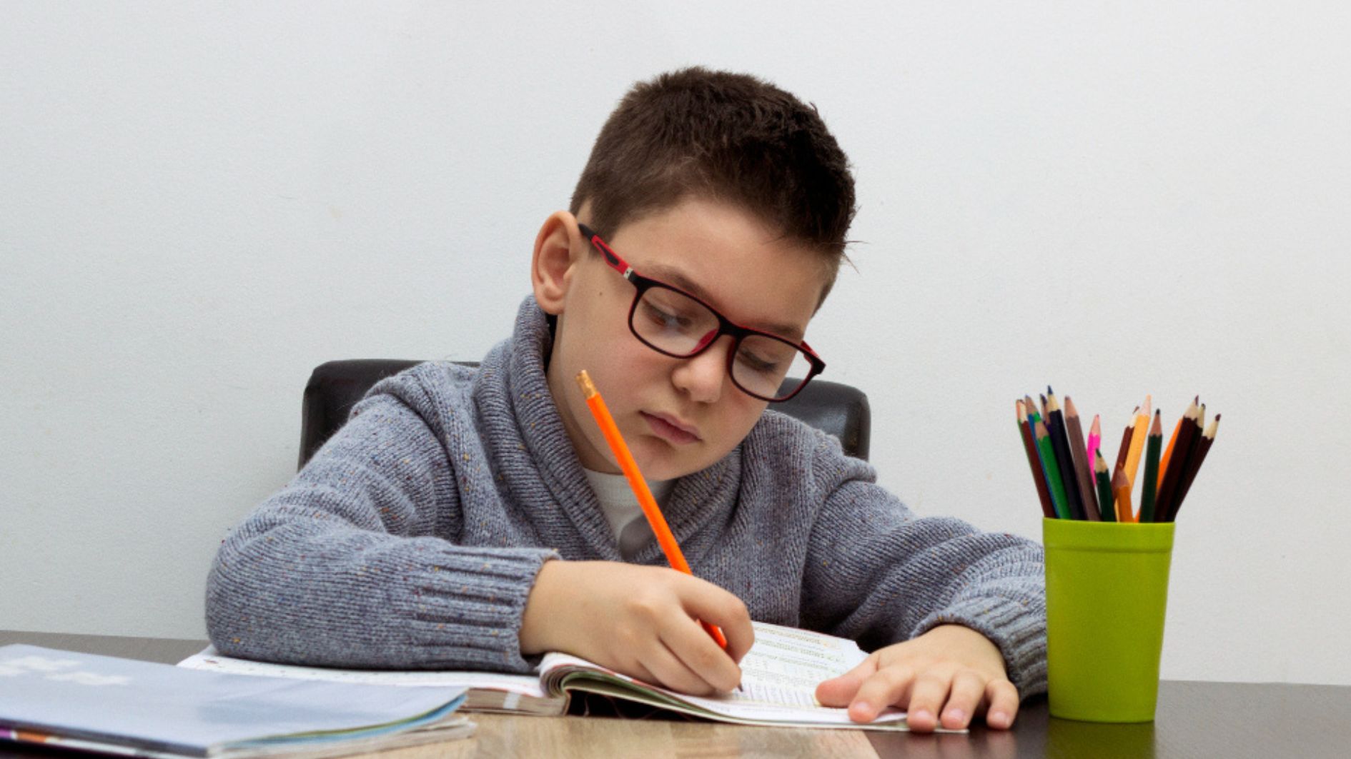 educação política