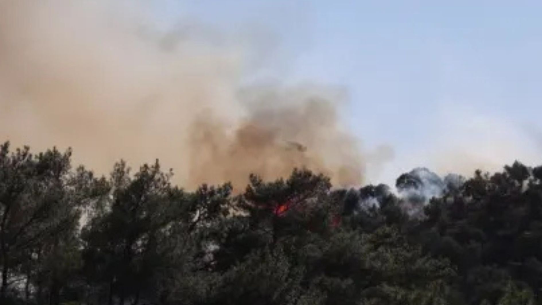 incêndio florestal na Grécia