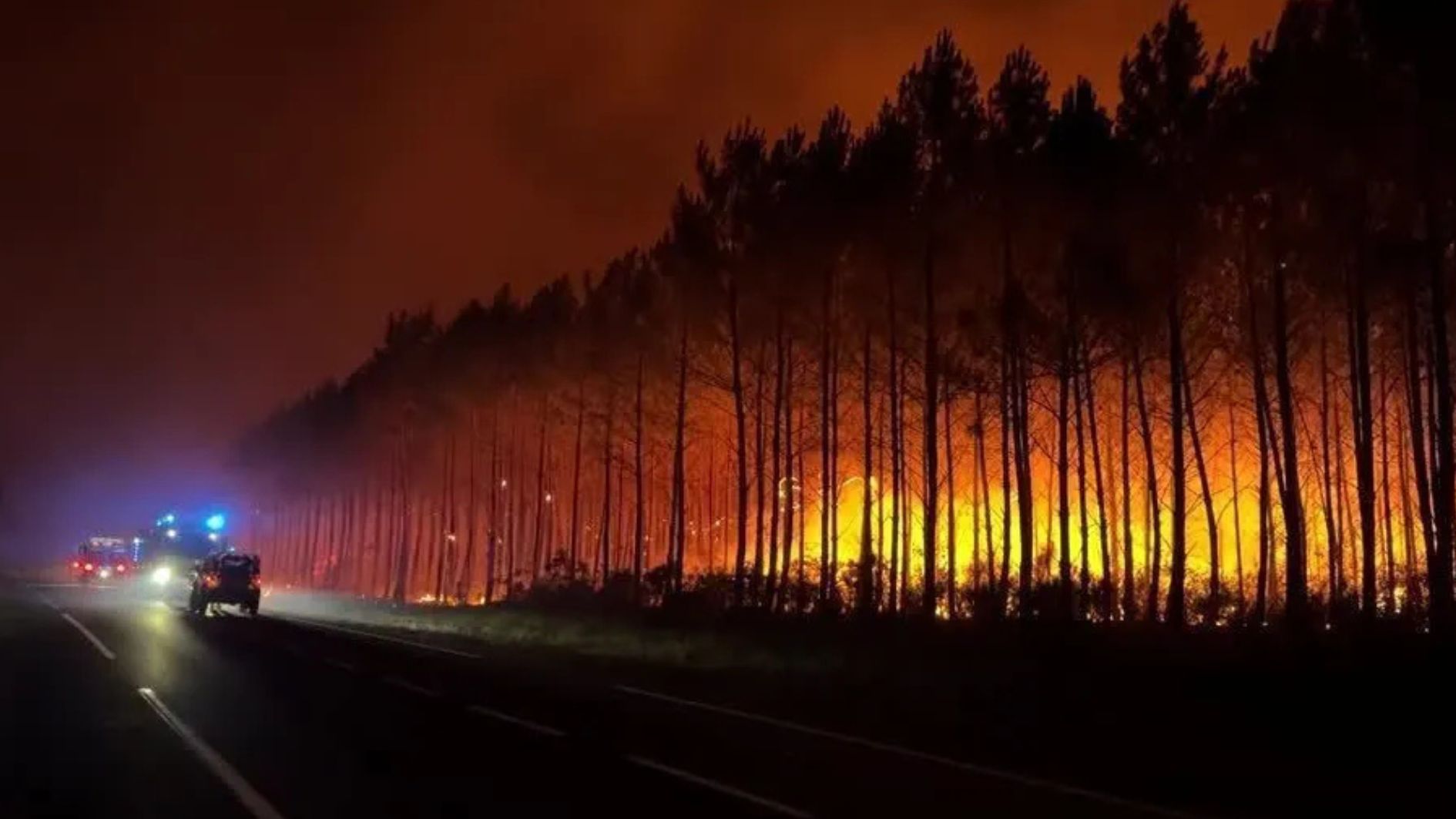 incêndios florestais