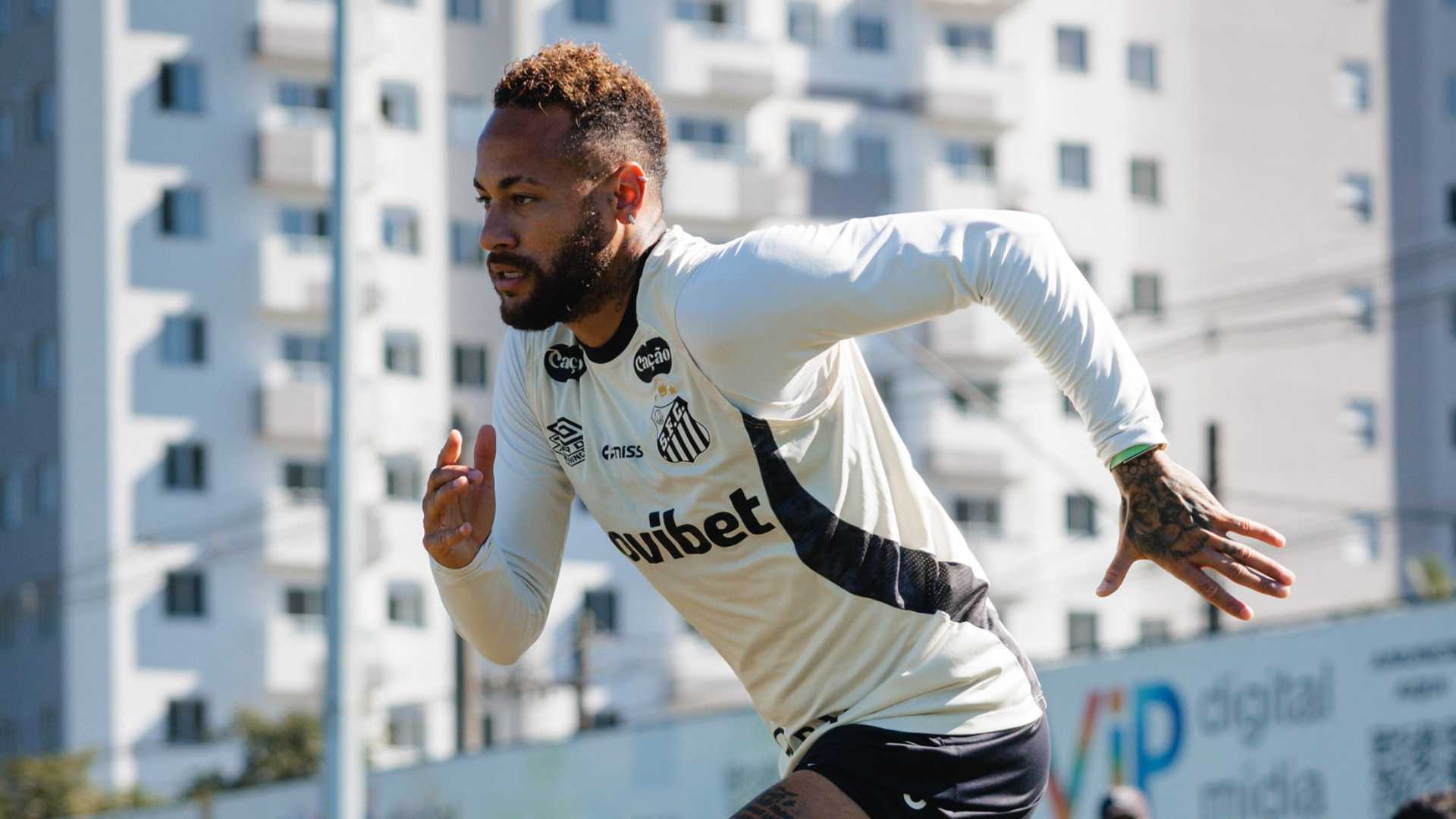 Foto: Raul Baretta / Santos FC