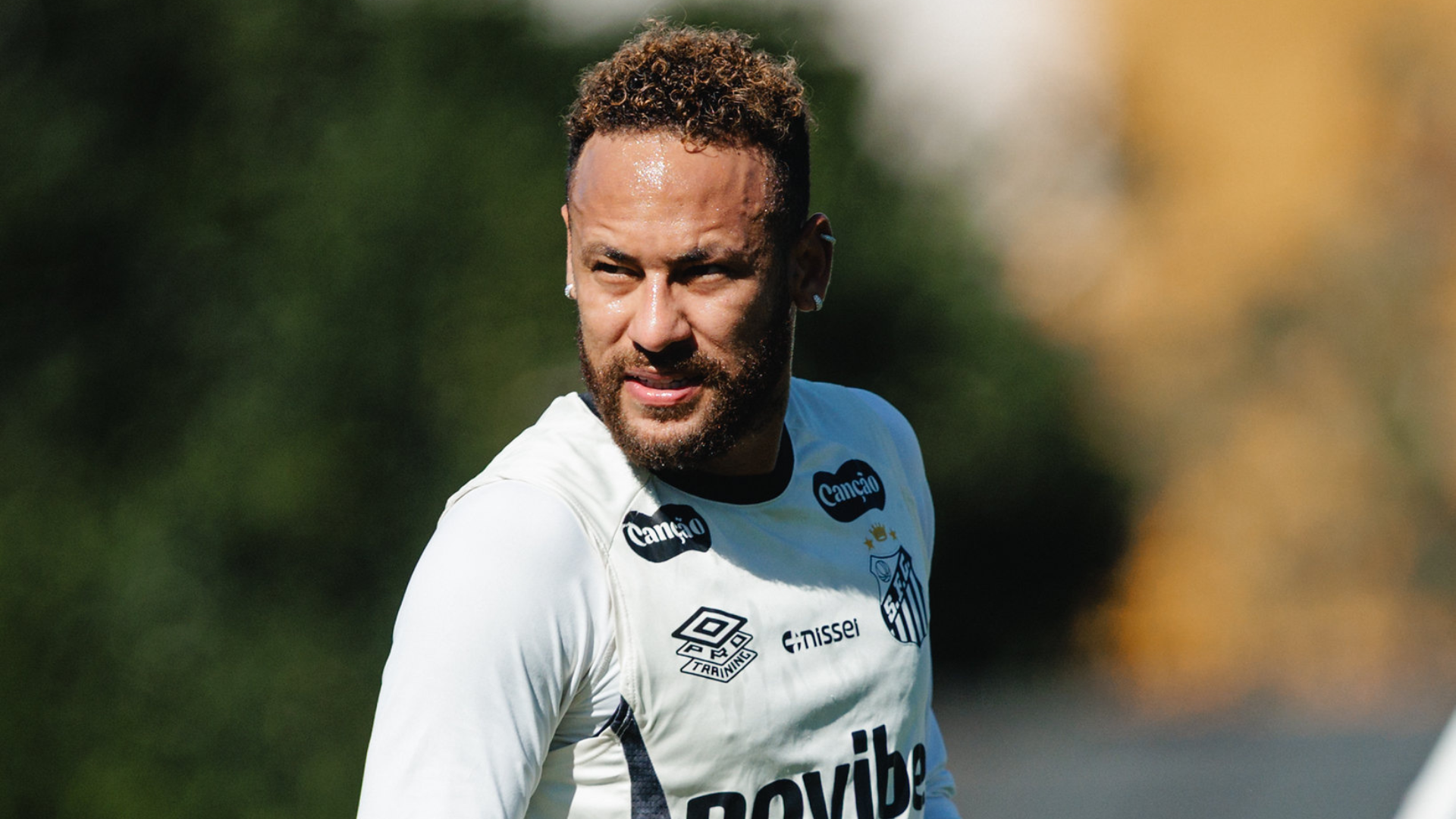 Foto: Raul Baretta / Santos FC