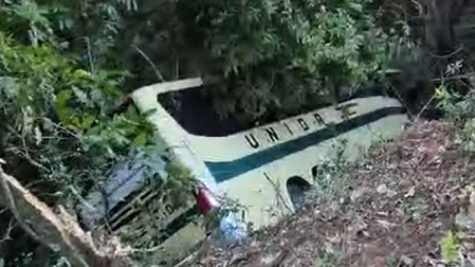 ônibus de Juiz de Fora