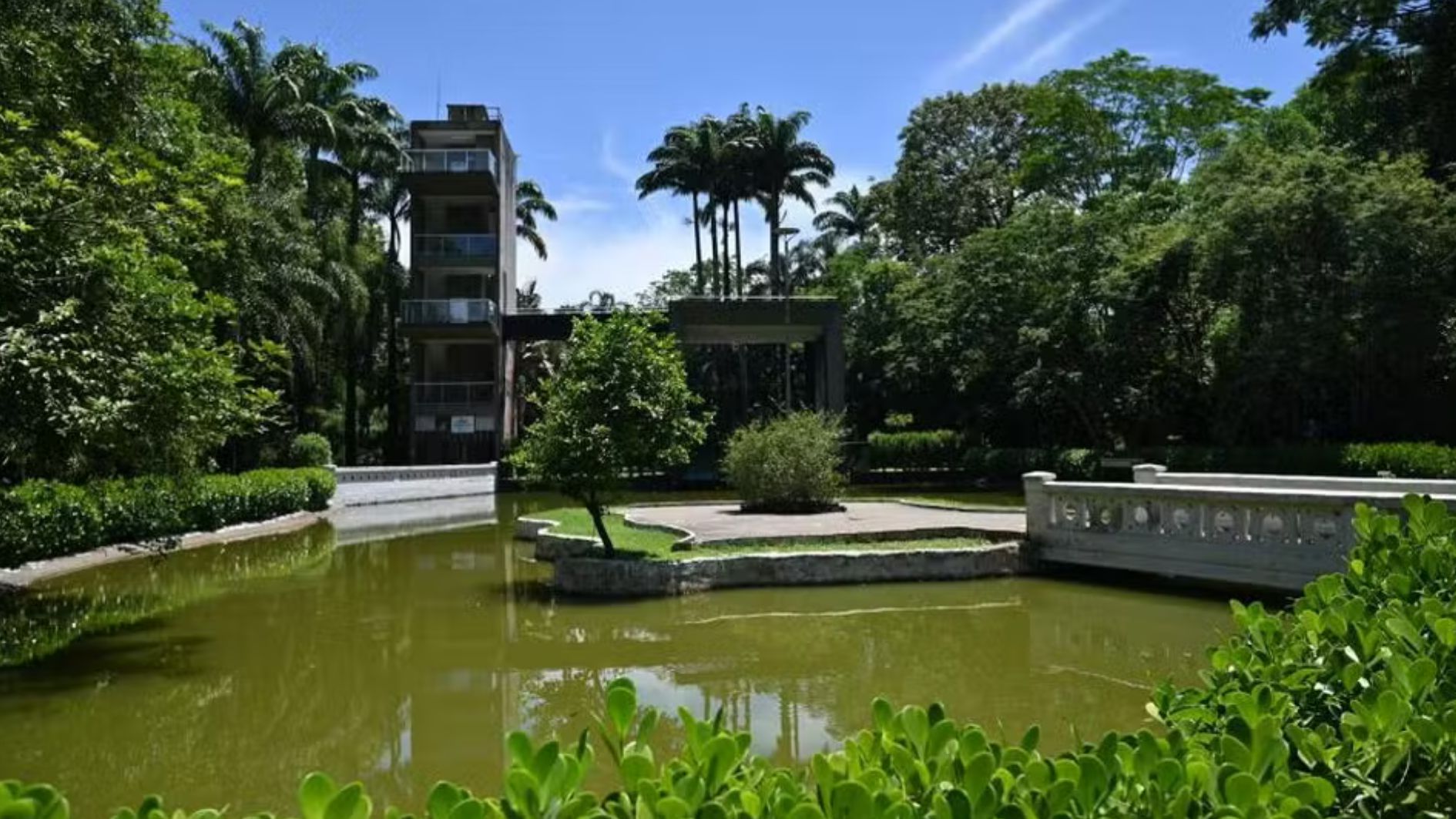 programação gratuita em Santos