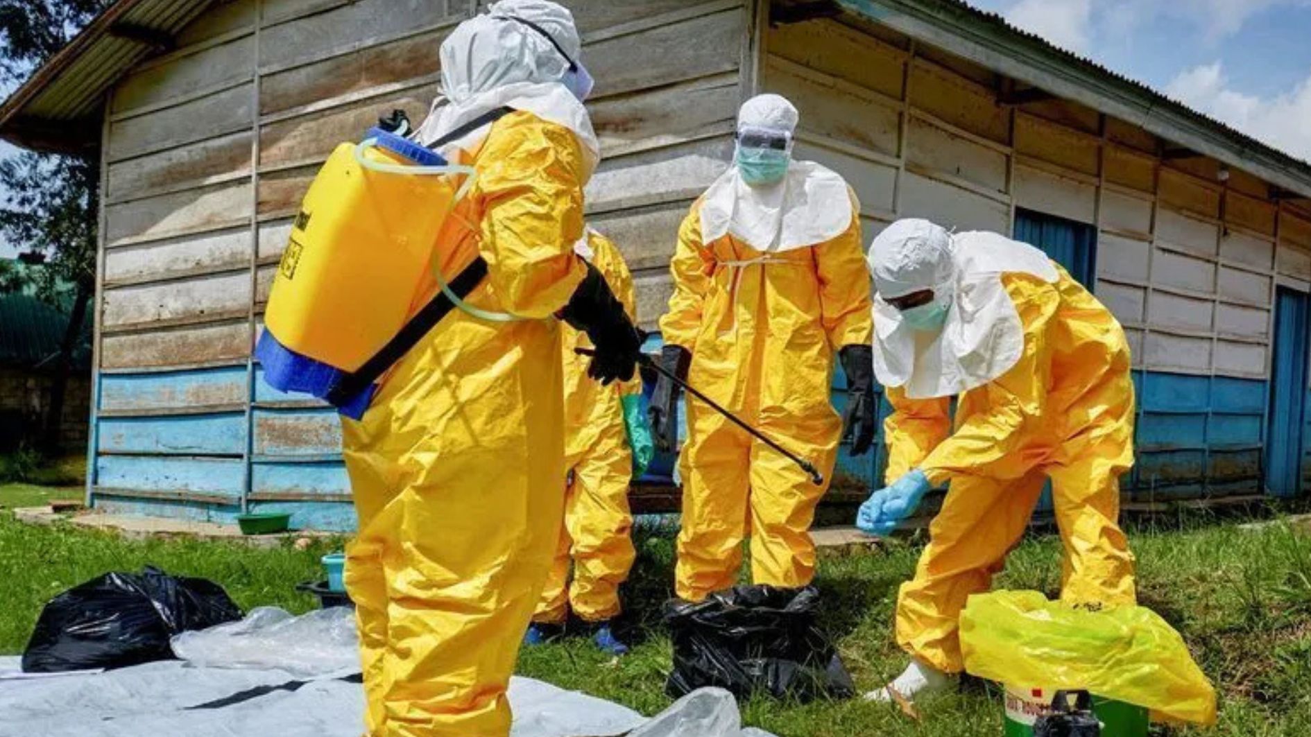 Ebola