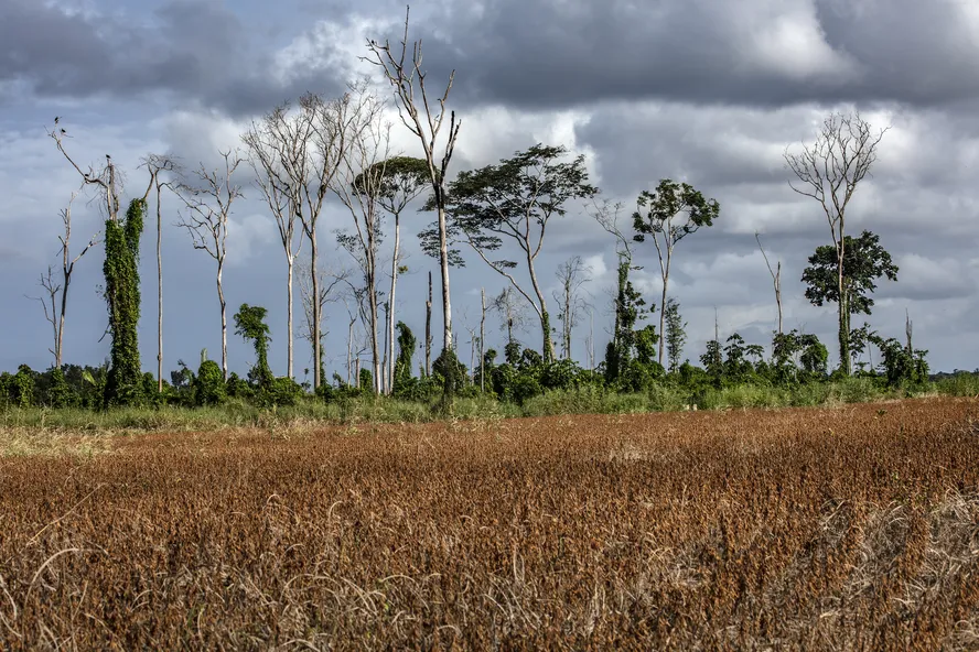 A previsão de um novo episódio de El Niño colocou estados e municípios das regiões Norte, Nordeste e Centro-Oeste em estado de atenção.