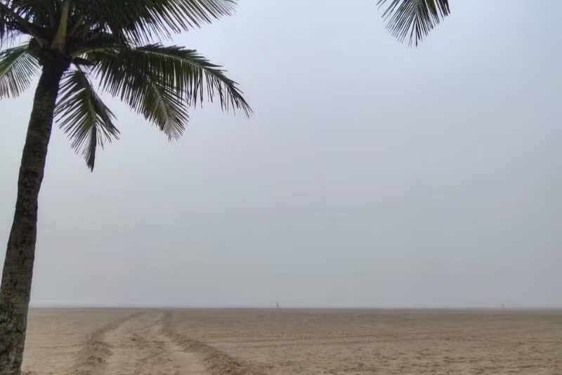A forte neblina que encobriu Santos, no litoral de São Paulo, na manhã desta quarta-feira (5), provocou impactos na mobilidade e nas...