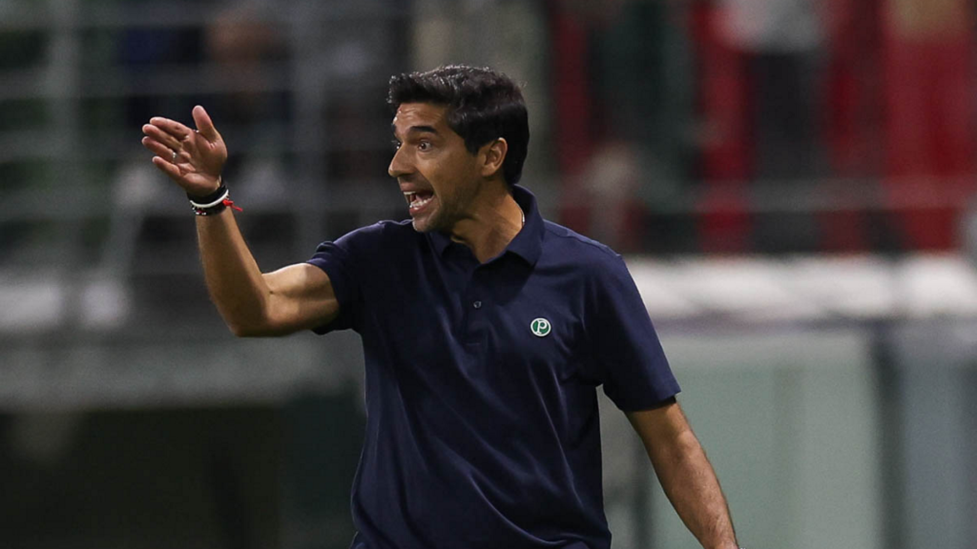 Foto: Cesar Greco / Palmeiras / by Canon