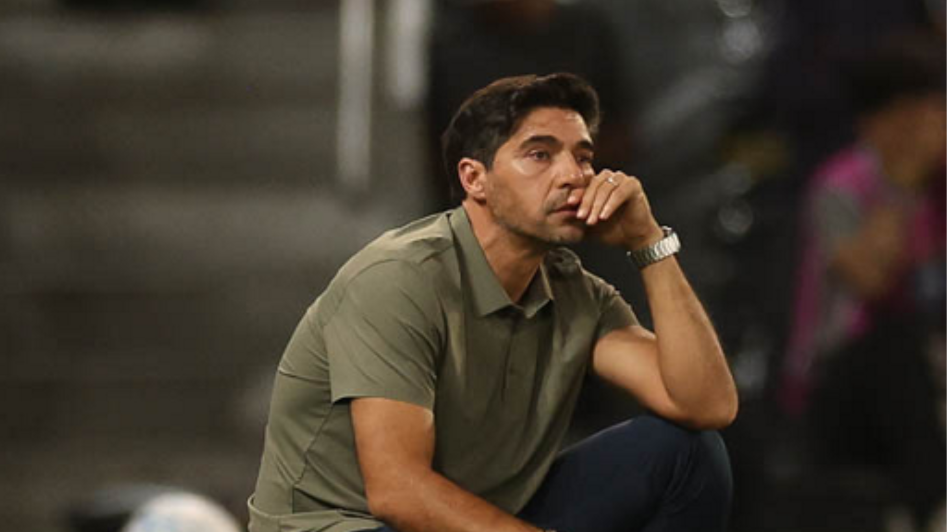Foto: Cesar Greco / Palmeiras / by Canon